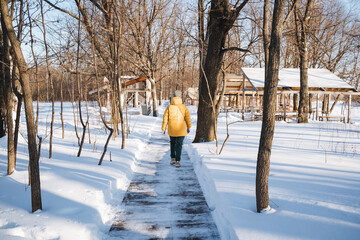 A person walks slowly down a snowy path in quiet woods, surrounded by tall trees and white snow,...