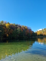 Autumn view of a green lake (Žalieji ežerai) suroundded by vibrant fall foliage. Bright blue sky, crystal clear lake water, water reflections, peaceful, natural atmosphere