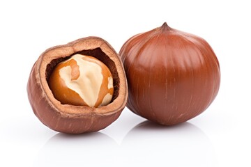 Hazelnut vegetable plant food.