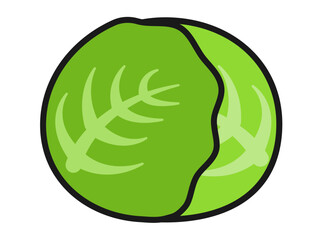 キャベツのベクターイラスト03