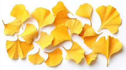 Fototapeta premium A vibrant arrangement of yellow ginkgo leaves scattered artistically on a clean white background