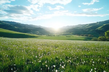 Fototapeta premium Gentle breeze over rolling hills serene landscape nature photography vibrant wildflowers daylight peaceful concept