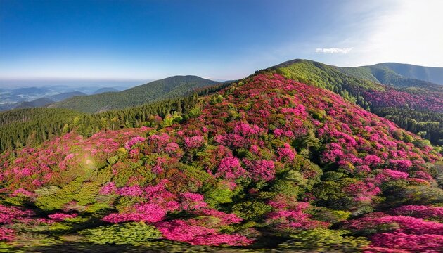 Rhododendron Nepal-Bilder: Stock-Fotos & -Videos. | Adobe Stock