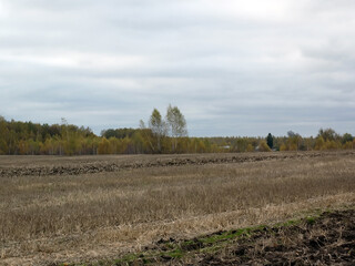 Obraz premium Harvested wheat field in autumn