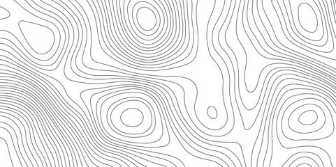 Topography and geography map grid abstract backdrop, Modern design with White background.	
