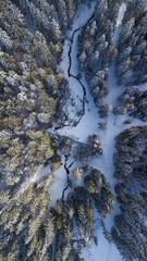 Aerial view of a snowy forest with a winding stream.