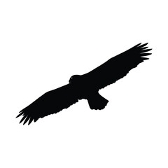 Silhouette of a majestic bird of prey in flight. Symbol of Eagle vector, Eagle Icon, Eagle Logo, Eagle Drawing.

