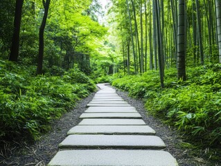 Obraz premium Tranquil forest path for meditation bamboo grove natural landscape peaceful environment ground-level viewpoint serenity concept