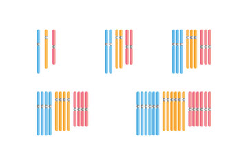 Types of Polyploidy in Chromosomes Science Design. Vector Illustration.