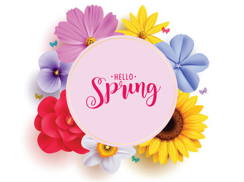Spring hello greeting clipart template. Hello spring greeting text in circle frame with sunflower, daisy, crocus and chamomile bouquet flowers decoration elements. Vector illustration season 