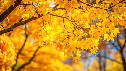 Vibrant yellow autumn leaves are scattered on tree branches, creating a colorful and lively scene