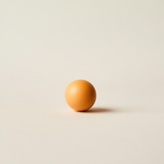 Fototapeta premium Single egg, studio shot, neutral background, food photography