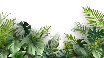 Tropical foliage against white backdrop 
tropical plants foliage bush copy space for text, jungle plant leaves isolated on a white background, monster leaf 
