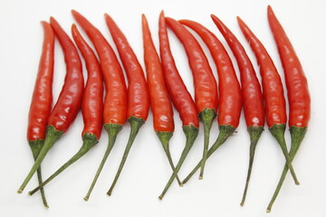 Group of hot peppers are ripe and ready for harvesting and eating 