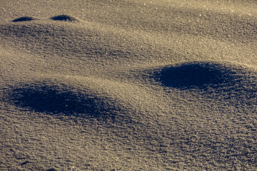 dunes in the snow