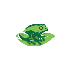green frog on leaf. frog on leaf