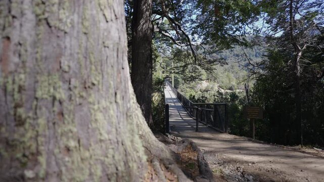 Suspension bridge over the river Arrayanes in a national park, Parque Nacional Los Alerces, Argentina.