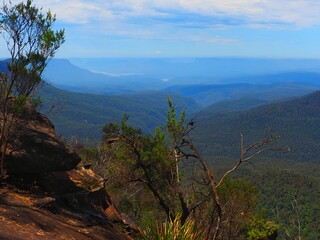Expansive View Over Blue Mountains Valleys