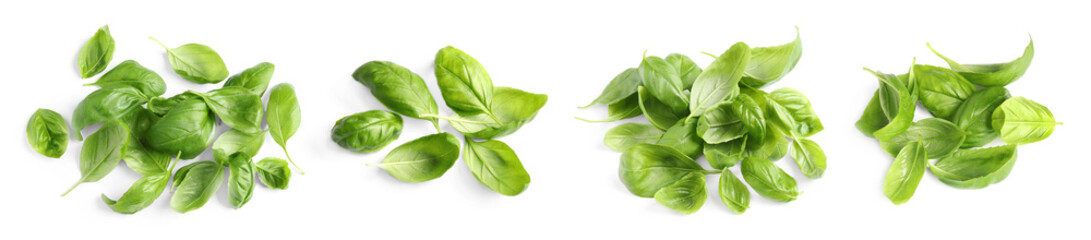 Fresh basil leaves isolated on white, set