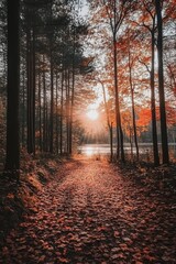 Naklejka premium Autumnal Path to Tranquility: A Sunset Serenade in the Woods