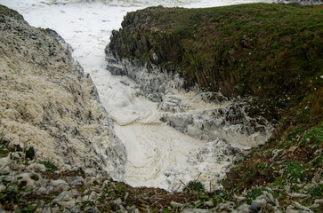 Temp&ecirc;te d'&eacute;cume