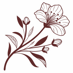 minimal botanical graphic sketch drawing, trendy tiny tattoo design, floral elements vector illustration