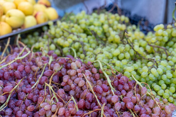A bunch of grapes and a bunch of apples are displayed on a table. The grapes are purple and green,...