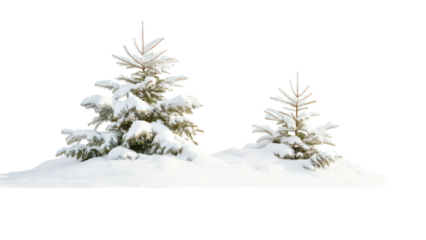 Snowy Mountain Range, Snow-covered trees on a snowy ground on transparent background.