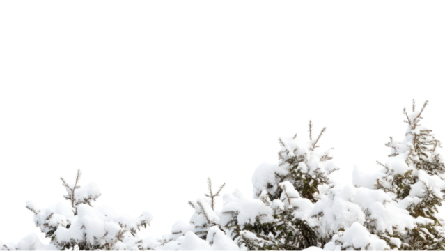 Snowy Mountain Range, Snow-covered trees on transparent background.