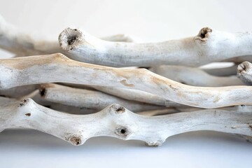 Obraz premium Light-colored driftwood pieces with smooth and gentle curves arranged in an aesthetically pleasing manner, evoking serenity and the organic flow of nature’s artistry.