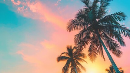 Tropical sunset palm trees beach vacation (4)