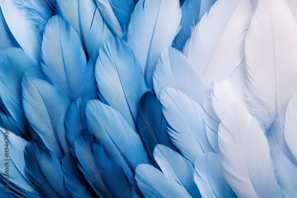 Poster a detailed close-up of blue and white feathers elegantly intertwined, showcasing a sophisticated des