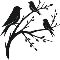 Three birds on a branch
