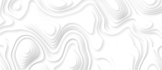 Realistic papercut decoration texture with wavy layers. White wave paper curved reliefs abstract background. Abstract white paper cut background with lines. Topography line map. Vintage outdoors style