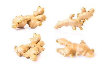 Set of Fresh ginger root on white background for herb and medical product concept