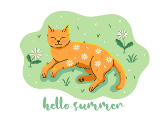 Cute ginger cat with daisies on his belly is sleeping. Vector graphics.