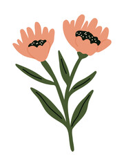 elegant pastel flower design