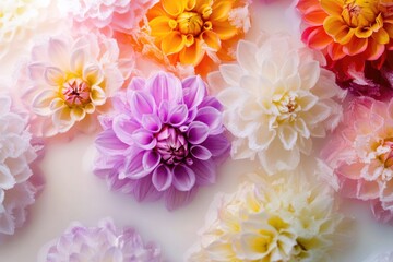 Obraz premium A colorful arrangement of various flowers on a plain white surface