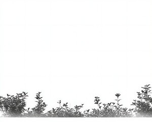 Monochrome foliage border on white.