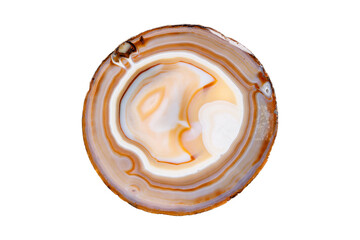 Yellow, brown Agate breed mineral stone a white background close up.