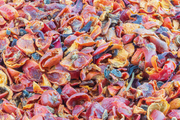 Dried rose hips, close-up. Food background.