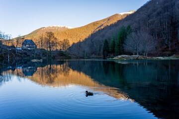 Naklejka premium Bethmale lake landscape during winter. Small lake in the Pyrenees mountains