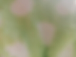 The background image is dark green mixed with light green with white circles that are mottled, similar to the color of leaves.