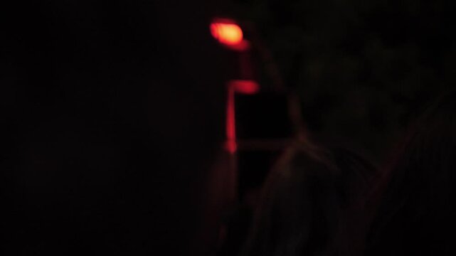 Jamaican live sound system. Vintage reggae, dub, ska, and dancehall music played on vinyl records. People dancing to vibrations of DIY retro speakers. Open-air music festival Navidub, Kapara Sound.