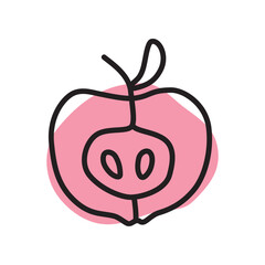 Apple half doodle icon hand drawn with thin line and colorful blob isolated on white background. Vector illustration