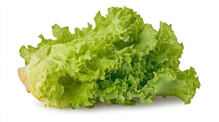 Fresh Green Lettuce Leaf on White Background. Generative AI