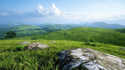 Fototapeta premium Serene Grassland Hills