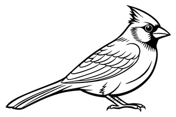  Northern Cardinal bird line art vector art illustration.