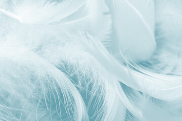 Beautiful green turquoise vintage color trends feather pattern texture background