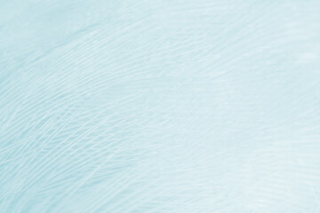 Beautiful green turquoise vintage color trends feather pattern texture background